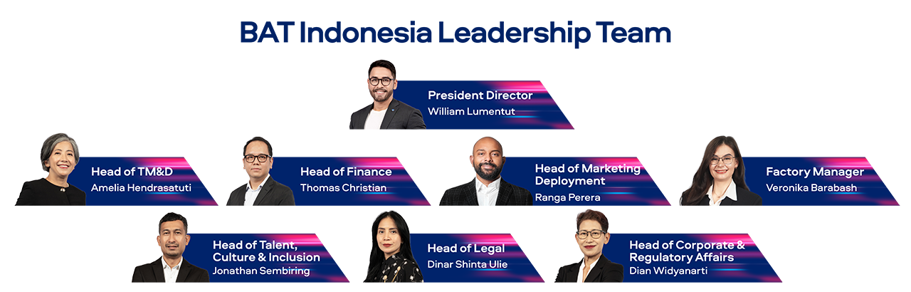 Organisation Structure